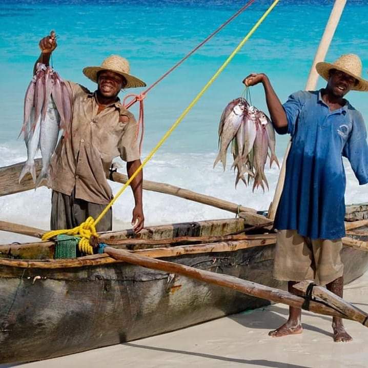 fishing in Zanzibar